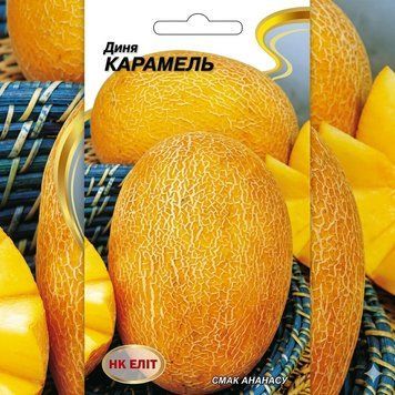 Насіння Диня Карамель (1 г) | Насіння Дині Тип Ананас PPN_11666 фото