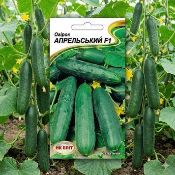 Насіння Огірок Апрельський (15 шт) | Огірок комахозапильний  PPN_11361 фото
