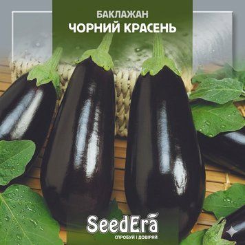 Насіння Баклажан Чорний красень (0,2г) | Насіння ранньостиглого, темно-фіолетового баклажану для універсального використання PPN_11003 фото