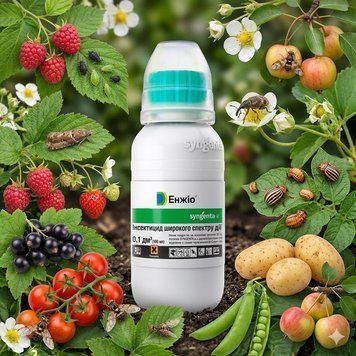 Енжіо 100 мл | Інсектицид Сингента Syngenta  PPN_11493 фото