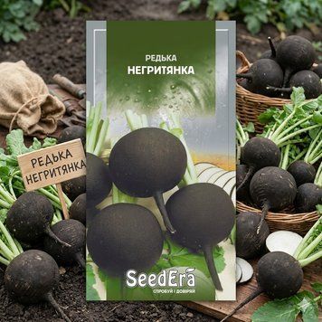 Насіння Редька чорна Негритянка (20г) | Насіння редьки чорної PPN_11308 фото