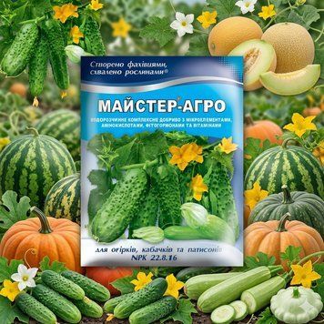 Майстер Агро для для огірків, кабачків та патисонів (100 г) | Майстер Формула для Огірків | Майстер Українського виробництва | Добриво для Баштанних В Усі Фази Росту PPN_11614 фото