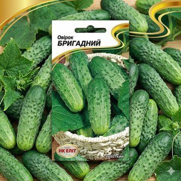 Насіння Огірок Бригадний (15 шт) | Огірок комахозапильний PPN_11365 фото