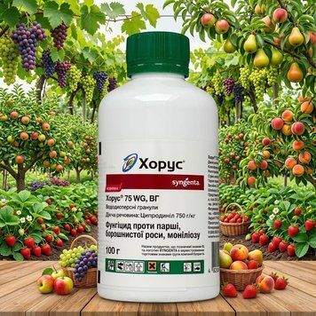 Хорус 100 г | Фунгіцид Сингента Syngenta PPN_11913 фото