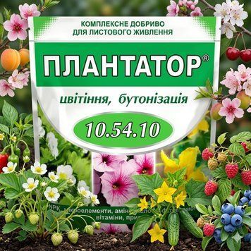 Плантатор 10-54-10 (1 кг) | Добриво фосфорне, для всіх культур | "Цвітіння, бутонізація" PPN_11699 фото