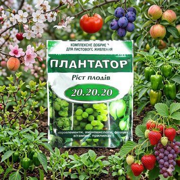 Плантатор 20-20-20 (1 кг) | Добриво універсальне, для всіх культур PPN_11700 фото