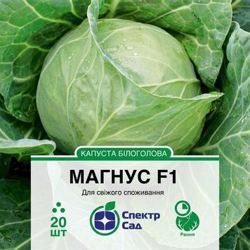 Насіння Капуста Магнус F1 (20 шт) | Насіння капусти гібридної PPN_11933 фото