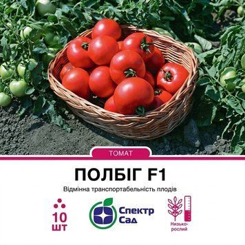 Насіння Помідор Полбіг F1 (10 н) |Насіння ранньостиглого,червоного томату для універсального споживання  PPN_11069 фото