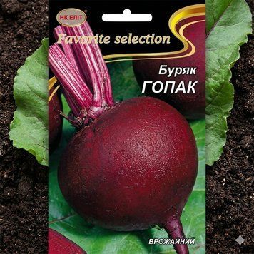 Насіння Буряк ГОПАК (20 г)| Насіння Буряку PPN_11034 фото