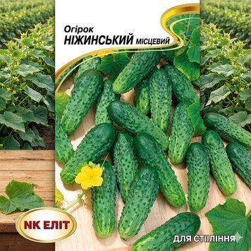 Насіння Огірок Ніжинський (1 г) | Огірок комахозапильний  PPN_11390 фото