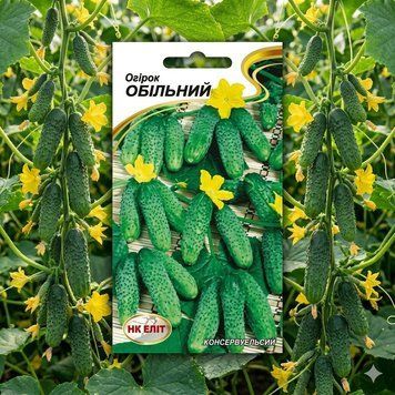 Насіння Огірок Обільний (15 шт) | Огірок комахозапильний  PPN_11392 фото