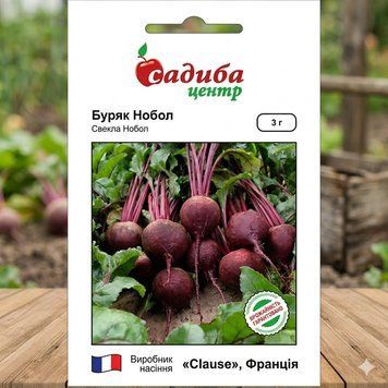 Насіння Буряк Нобол (200 шт) | Насіння Буряку PPN_11051 фото