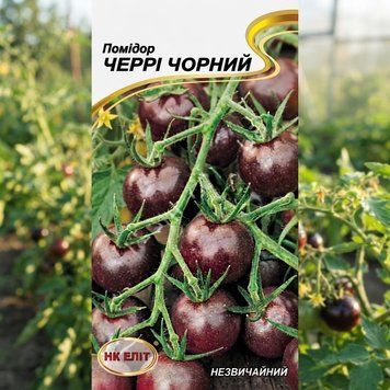 Насіння Помідор Черрі чорний (0,1г) | Насіння середньостиглого, індетермінантного, екзотичного темного томату-черрі для відкритого ґрунту та теплиць PPN_11957 фото