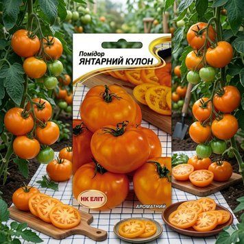 Насіння Помідор Янтарный кулон (0,1г) | Насіння середньостиглого, низькорослого, помаранчевого томату для свіжого споживання PPN_11141 фото