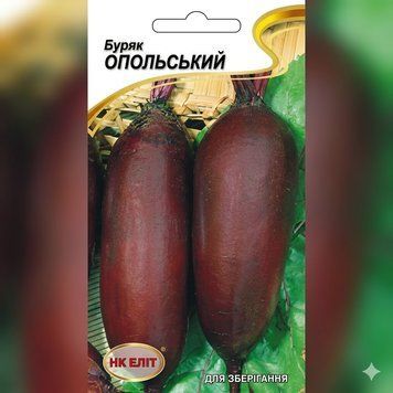 Насіння Буряк Опольський Тор  ( 3 г ) | Насіння Буряку PPN_11858 фото
