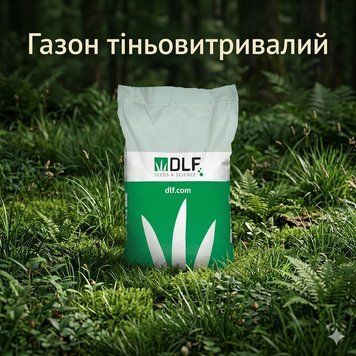 Насіння Газон Вагове Тіньовитривалий, від 100 г | Насіння Газону Вагове | Насіння Газону, Газонних трав |  PPN_11463 фото
