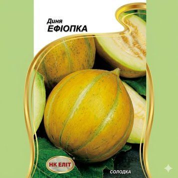 Насіння Диня Ефіопка (1 г) | Насіння Дині з солодкими яскраво-жовтими плодами PPN_11665 фото